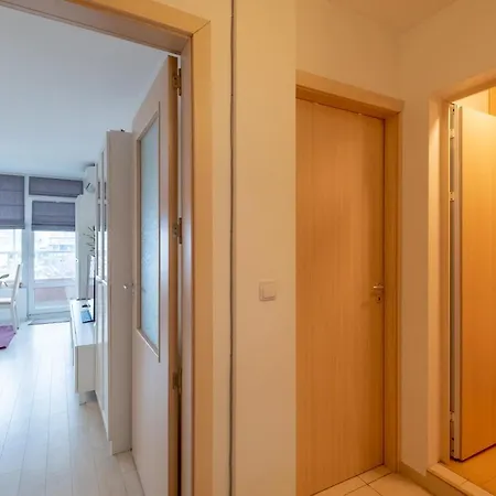 Apartment Sunny 1- Bdr In Banishora District