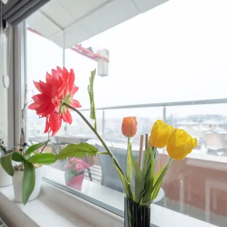 Sunny 1- Bdr In Banishora District Apartment *